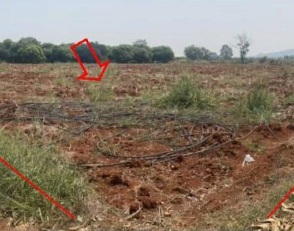 01 Land is empty. _photo