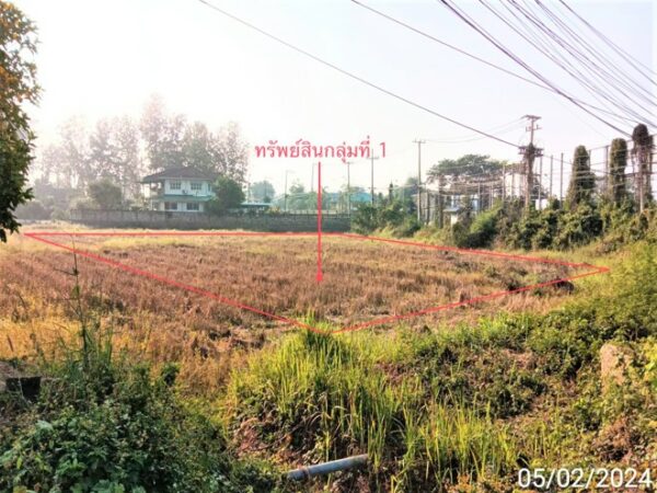 01 Land is empty. _photo