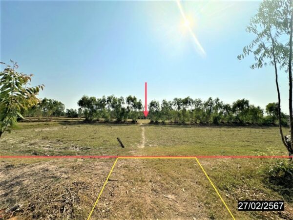 01 Land is empty. _photo