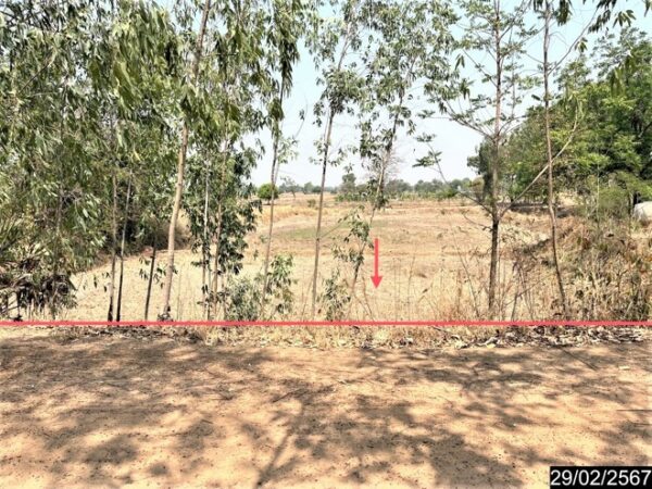 01 Land is empty. _photo