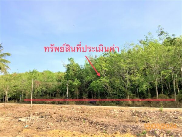 01 Land is empty. _photo