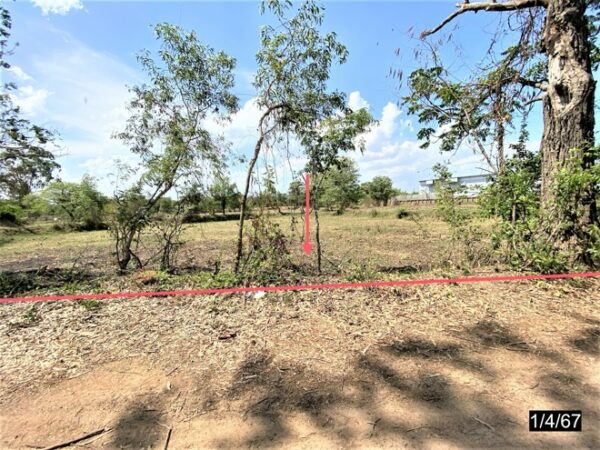 01 Land is empty. _photo