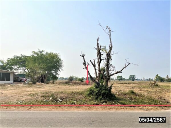 01 Land is empty. _photo