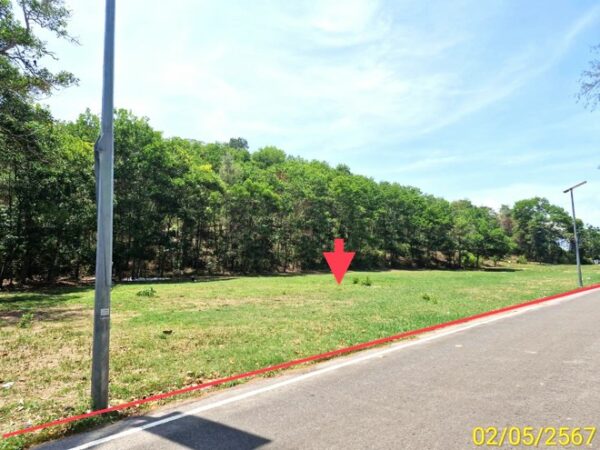 01 Land is empty. _photo