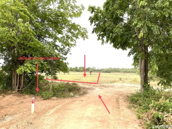 01 Land is empty. _photo