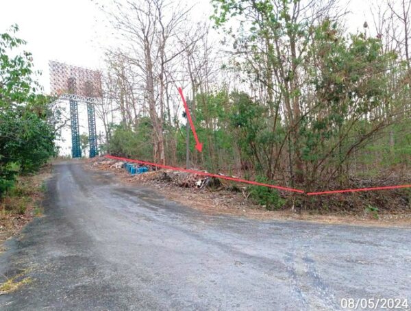 01 Land is empty. _photo