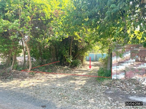 01 Land is empty. _photo