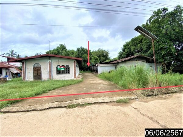 02 Single House _photo