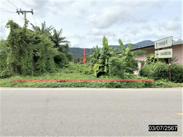 01 Land is empty. _photo