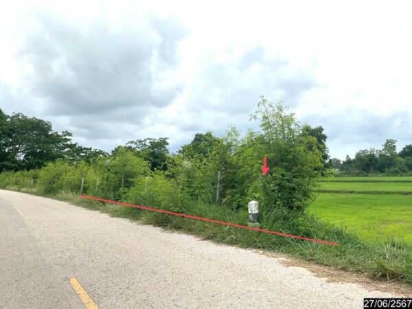01 Land is empty. _photo