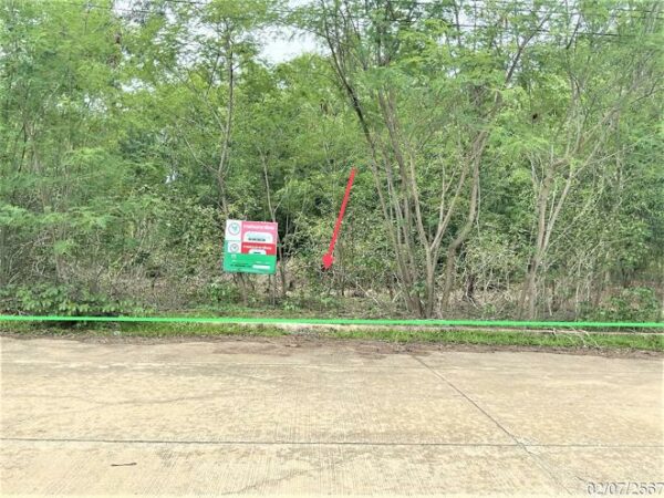 01 Land is empty. _photo