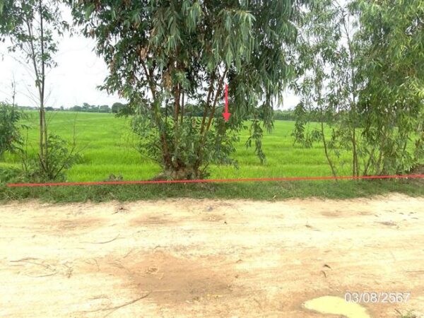 01 Land is empty. _photo