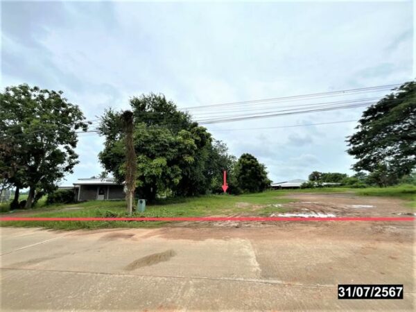 01 Land is empty. _photo