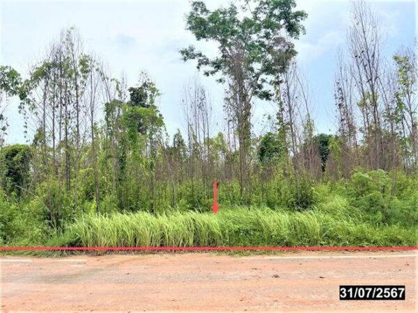 01 Land is empty. _photo