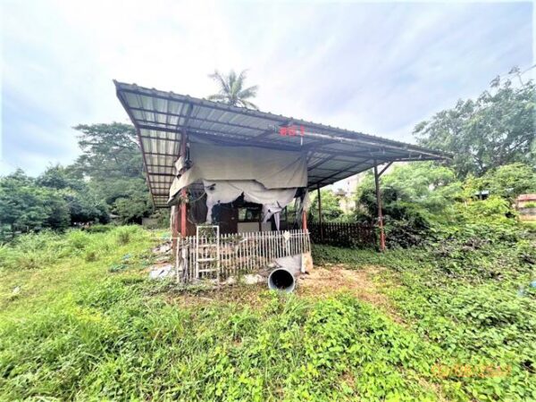 02 Single House _photo