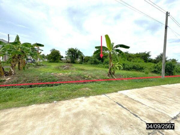 01 Land is empty. _photo