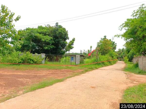 01 Land is empty. _photo
