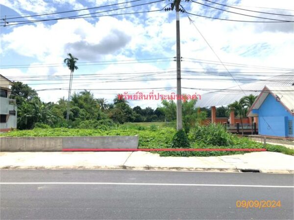 01 Land is empty. _photo