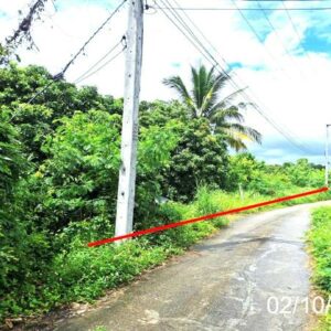 Real Estate from Banks _photo