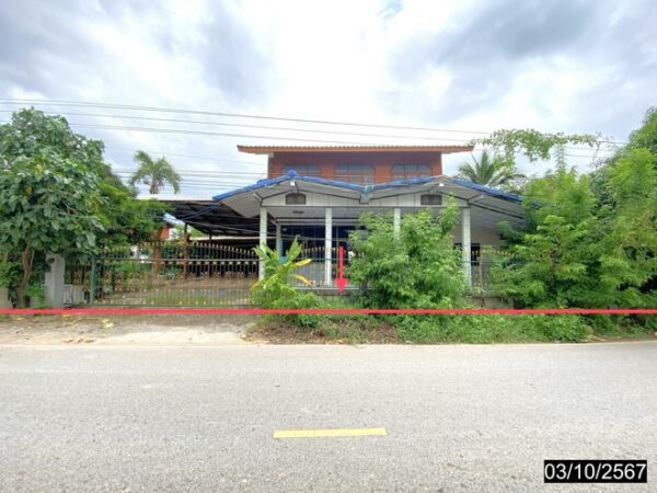 02 Single House _photo