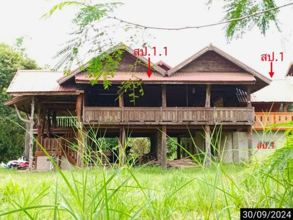 02 Single House _photo