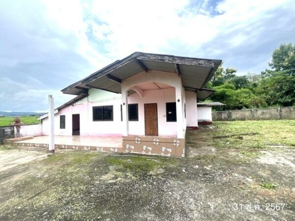 02 Single House _photo