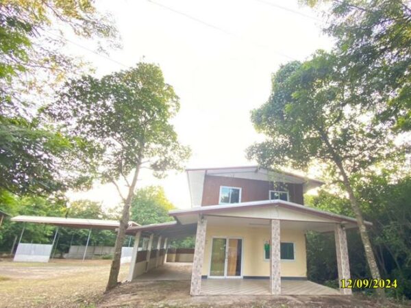 02 Single House _photo