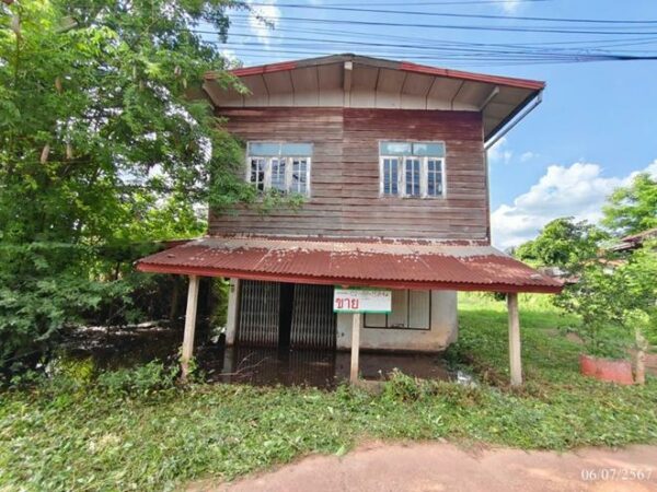 02 Single House _photo