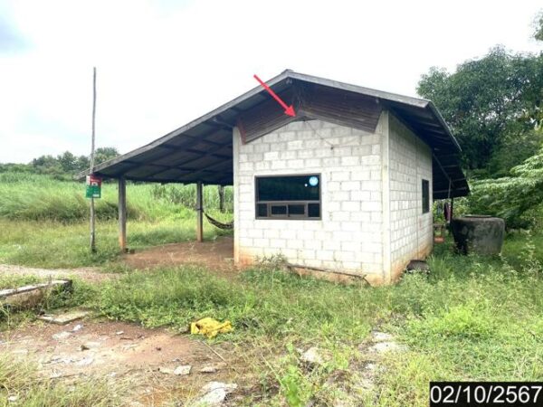 02 Single House _photo