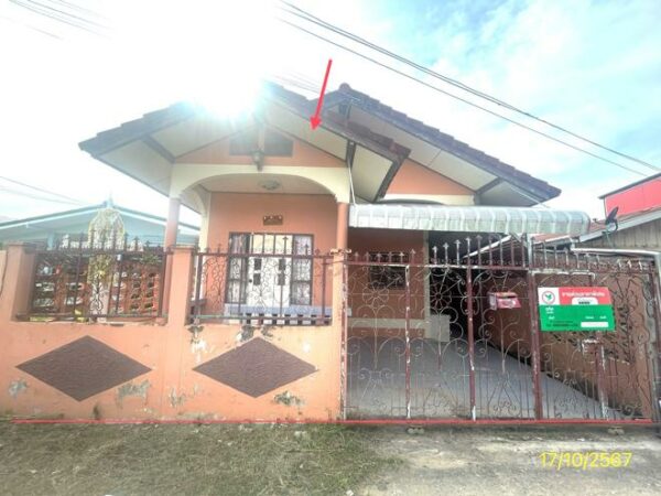 02 Single House _photo