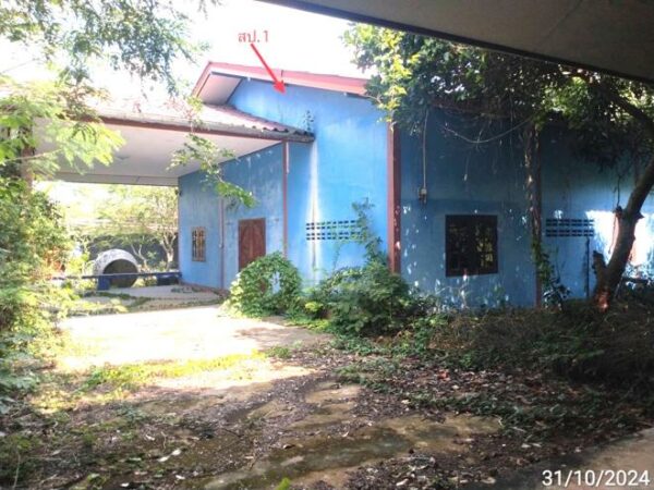 02 Single House _photo