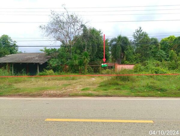 02 Single House _photo