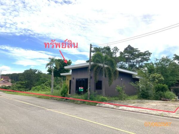 02 Single House _photo
