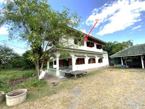 02 Single House _photo