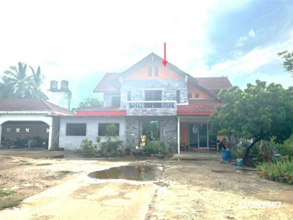 02 Single House _photo