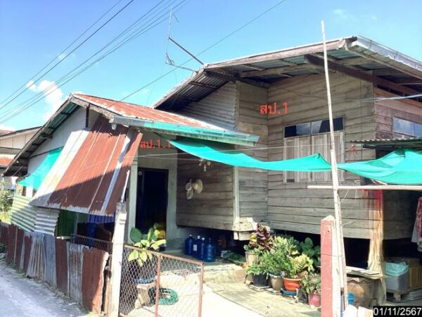 02 Single House _photo