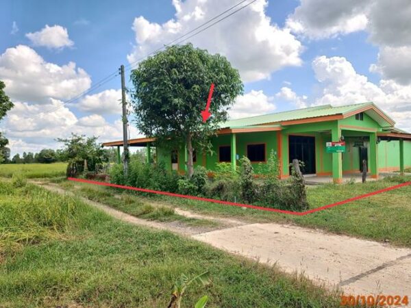 02 Single House _photo