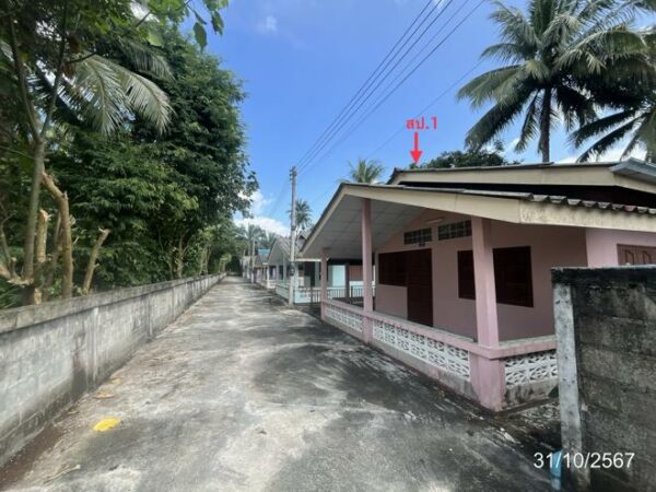 02 Single House _photo