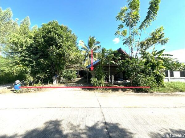 02 Single House _photo