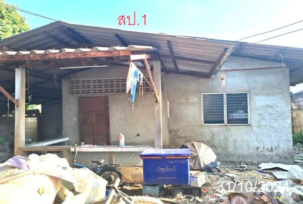 02 Single House _photo