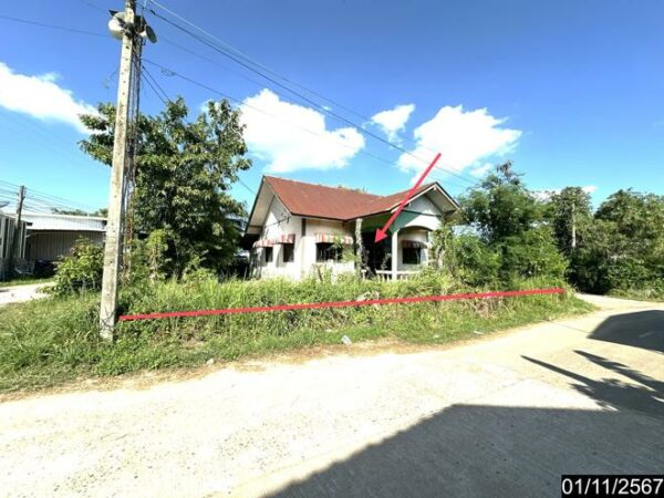 02 Single House _photo