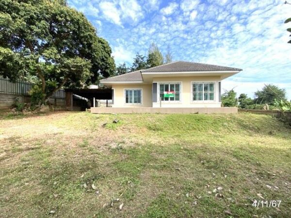 02 Single House _photo
