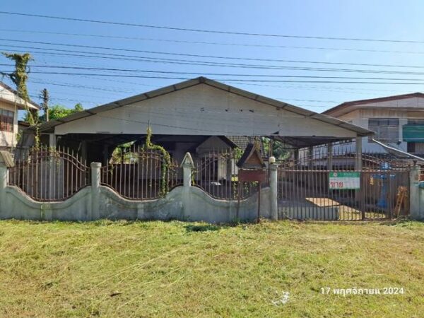 02 Single House _photo