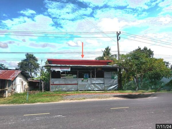 02 Single House _photo