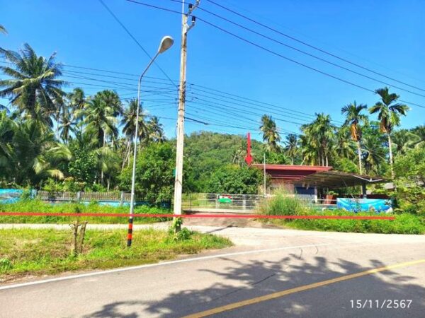 02 Single House _photo