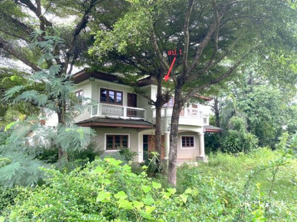 02 Single House _photo
