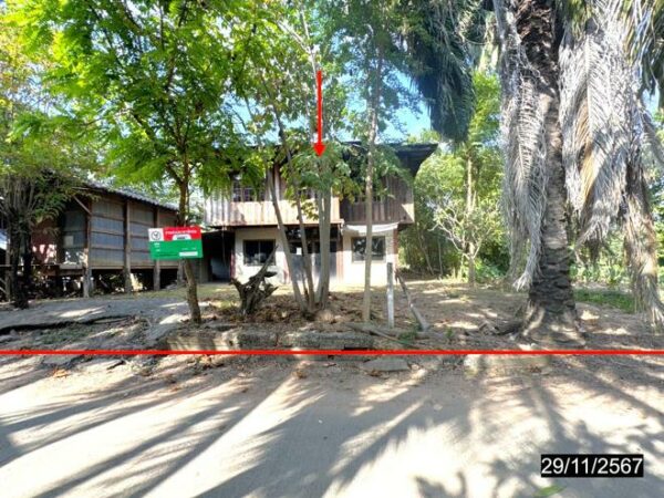02 Single House _photo