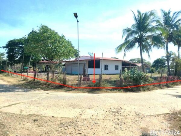 02 Single House _photo