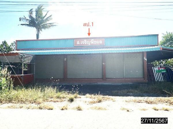 02 Single House _photo