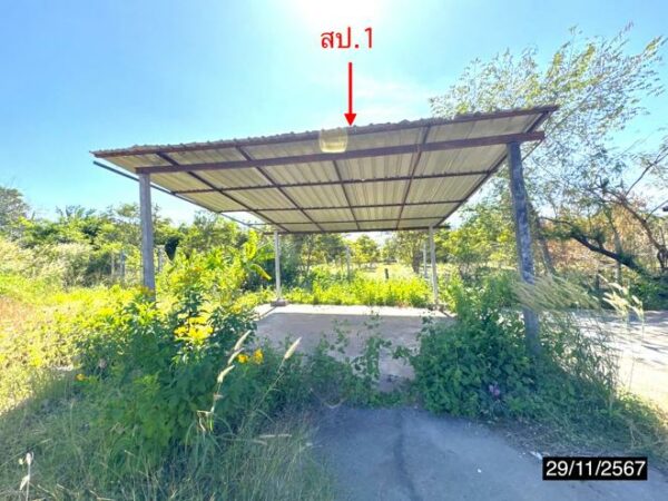 26 multi -purpose sheds _photo